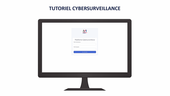 Demander un audit de cybersurveillance via l'interface de commande