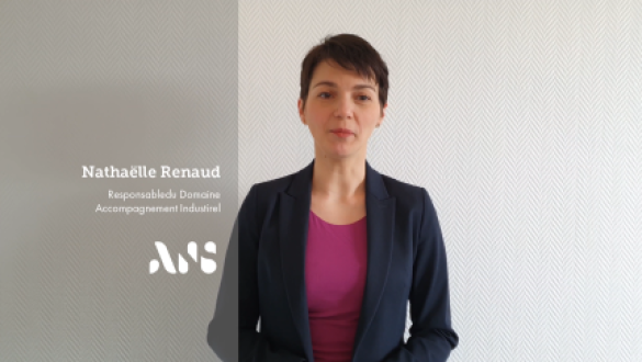 Miniature-Video-Presentation-PI